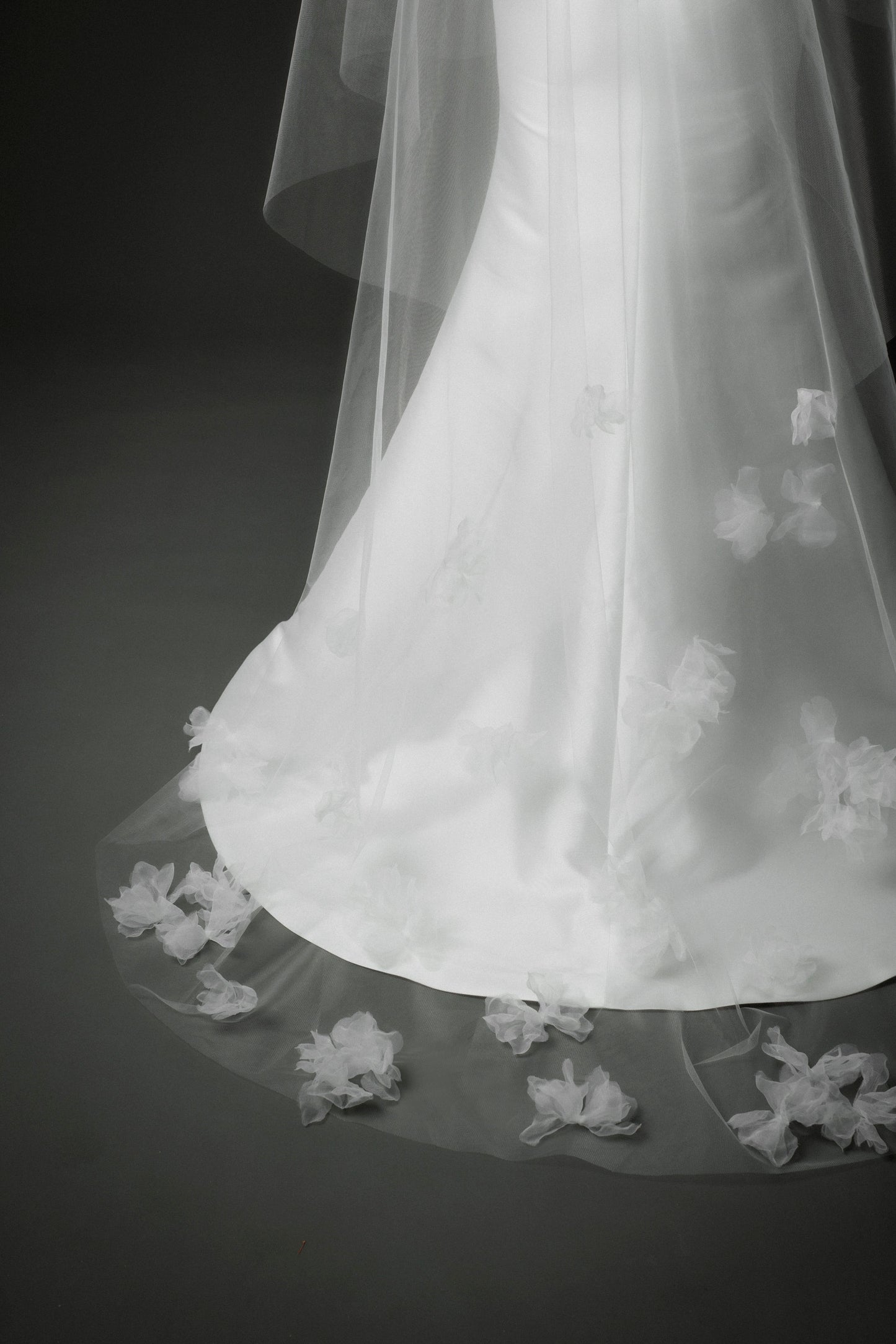 Dandelion Veil
