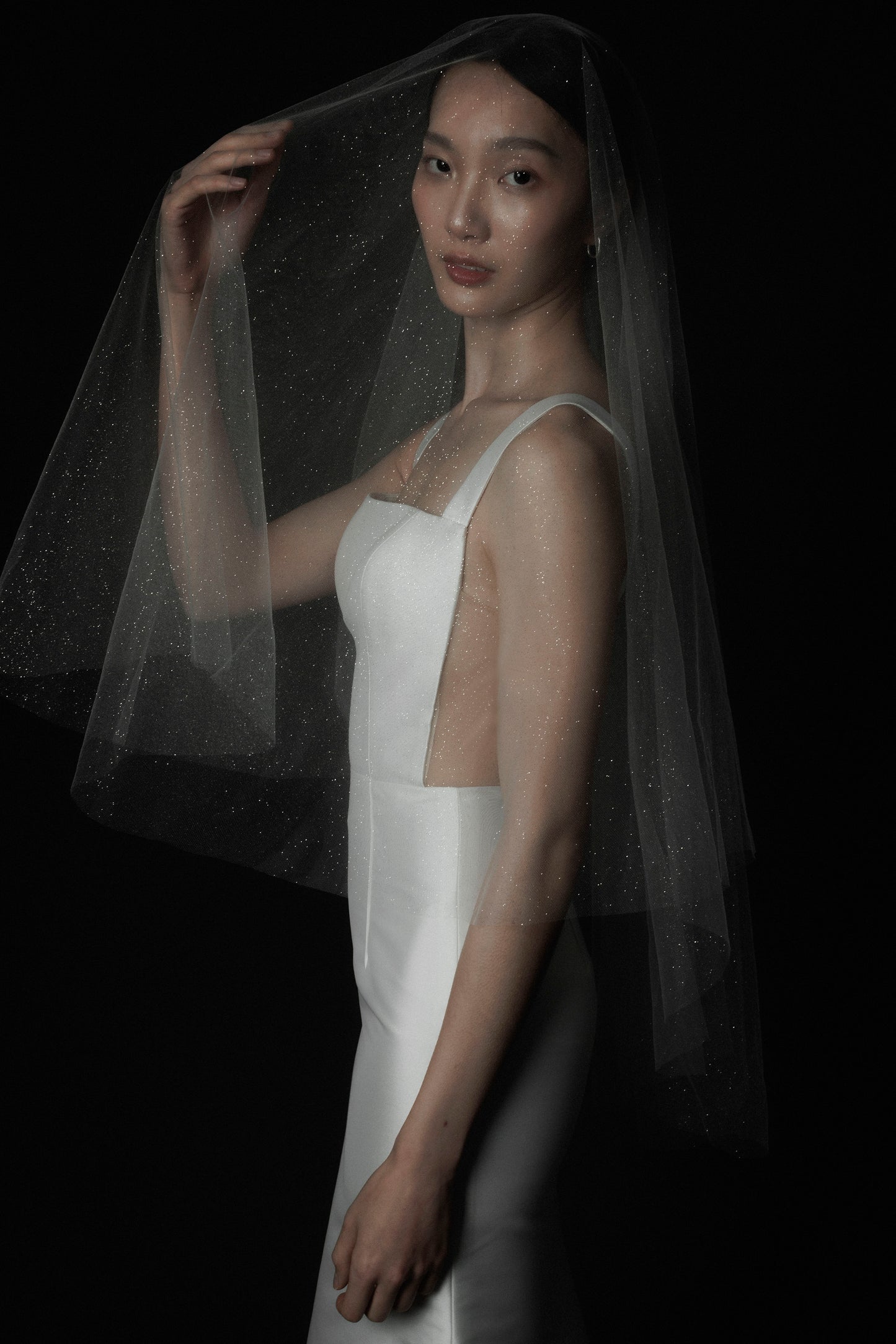 Starlight Glitter Veil