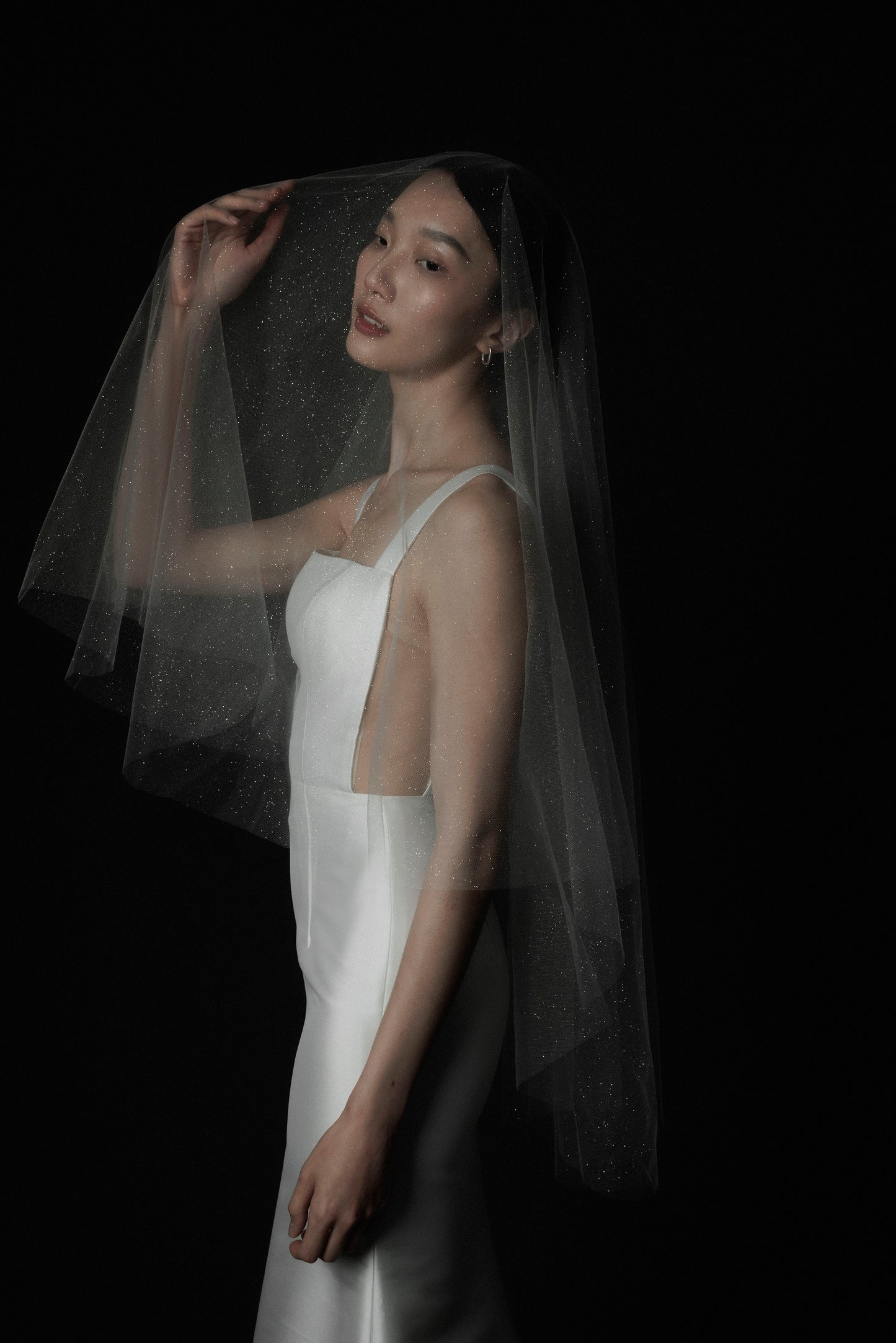 Starlight Glitter Veil