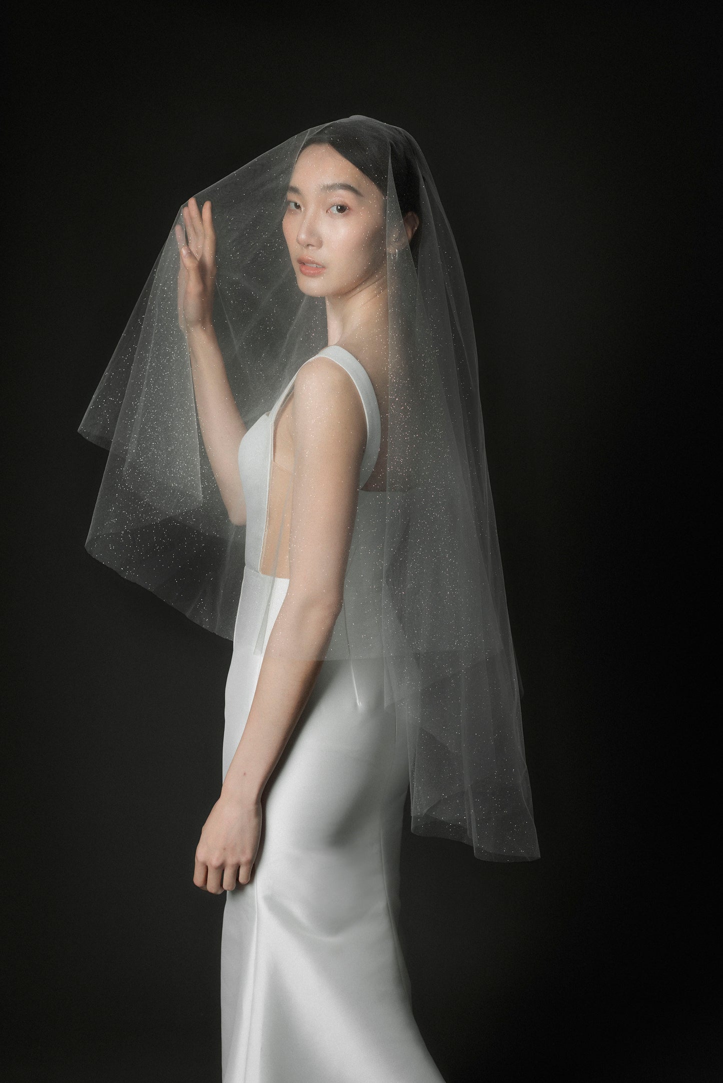 Starlight Glitter Veil